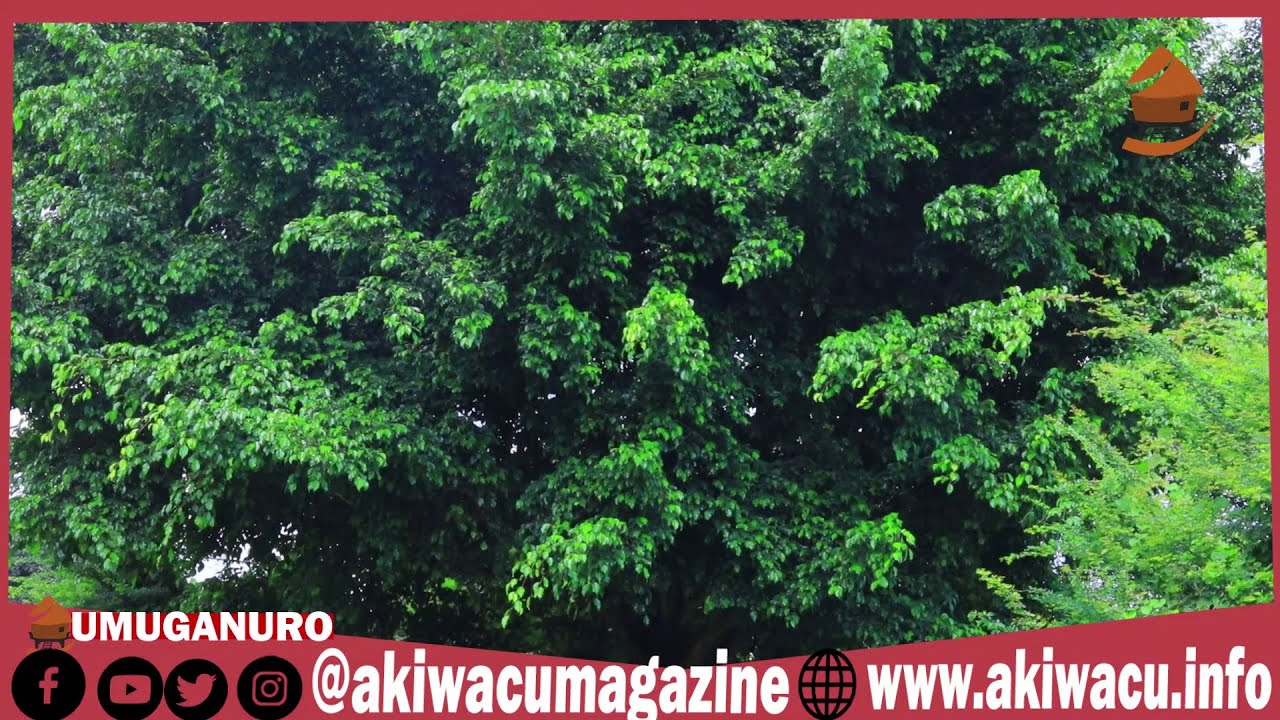 #Umuganuro : Insiguro y'amazina y'amezi mu kirundi