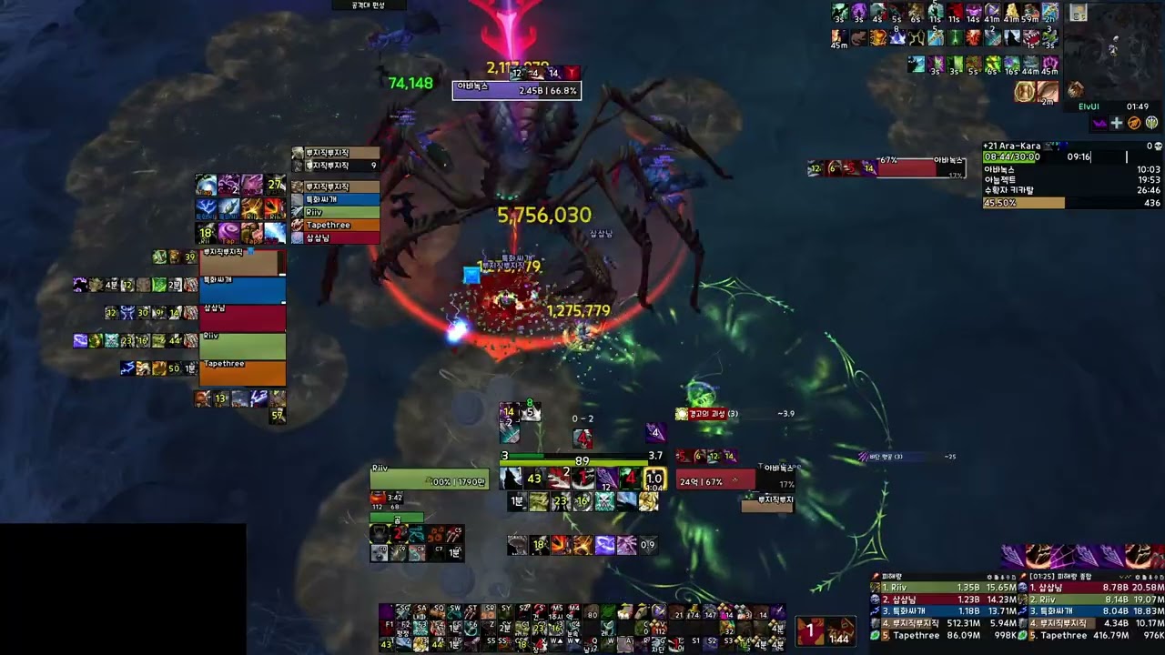 +21 메아리의 도시 아라카라 야냥 시점 / Ara-Kara, City of Echoes Beast Mastery Hunter POV