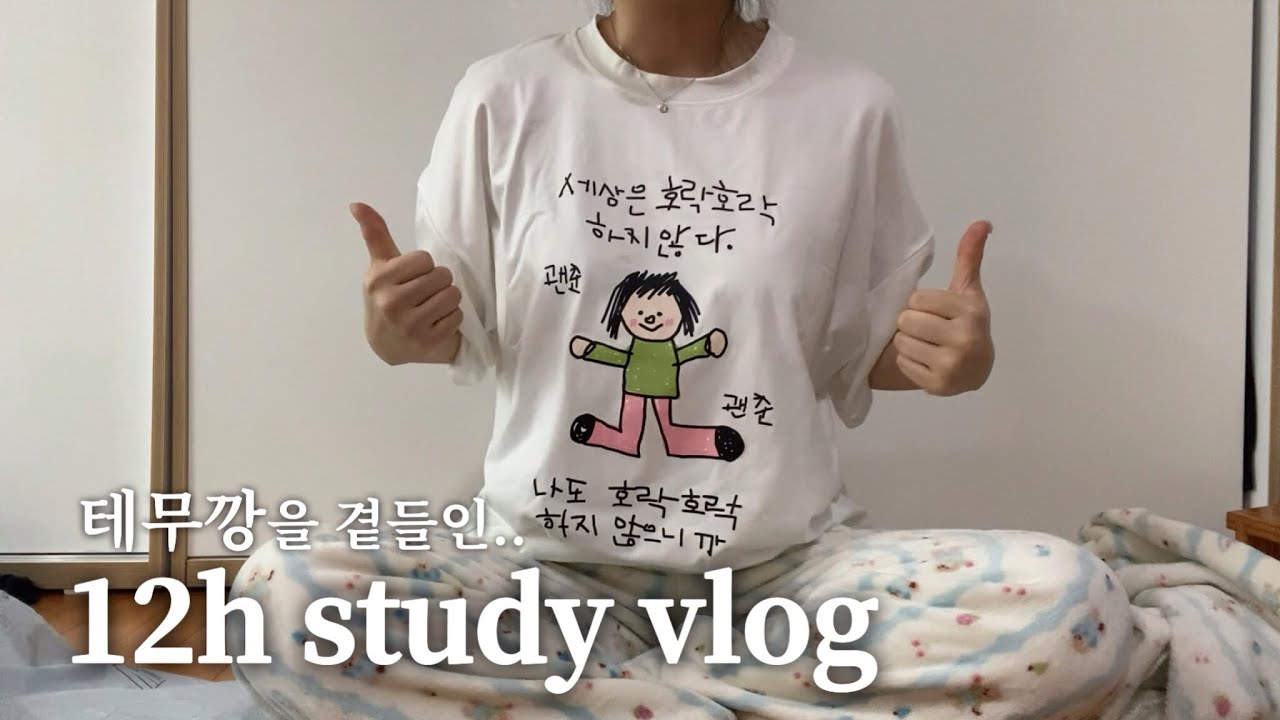 취준통와서 스트레스 많이 받을거야 자기전에 생각날거야..☠️ 테무 갓성비템깡을 곁들인 1월 공부 브이로그
