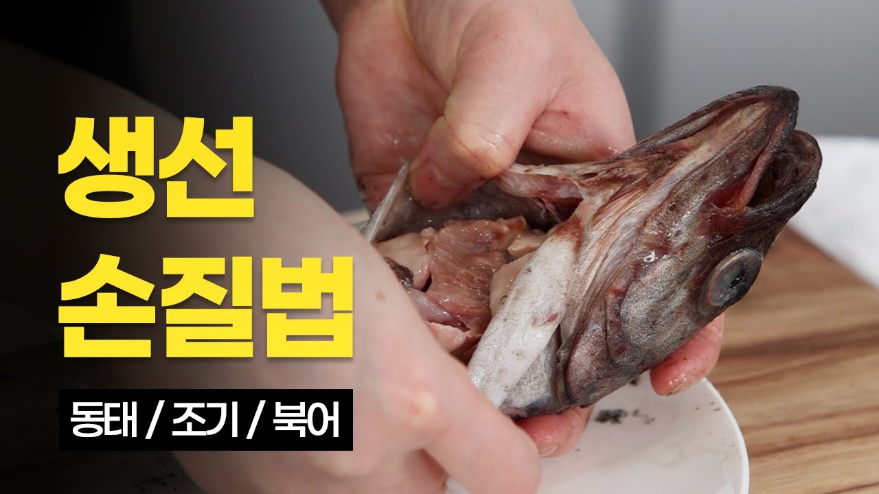 생선 손질 이 순서대로만 하세요!🐟 한식조리기능사 생선 손질법 모아보기(생선찌개/생선양념구이/북어구이/생선전)