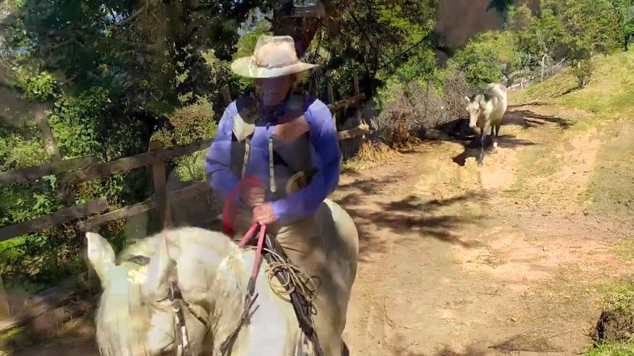 Soy Paramero (Maestro Eliseo Moreno Contreras feat la LB)