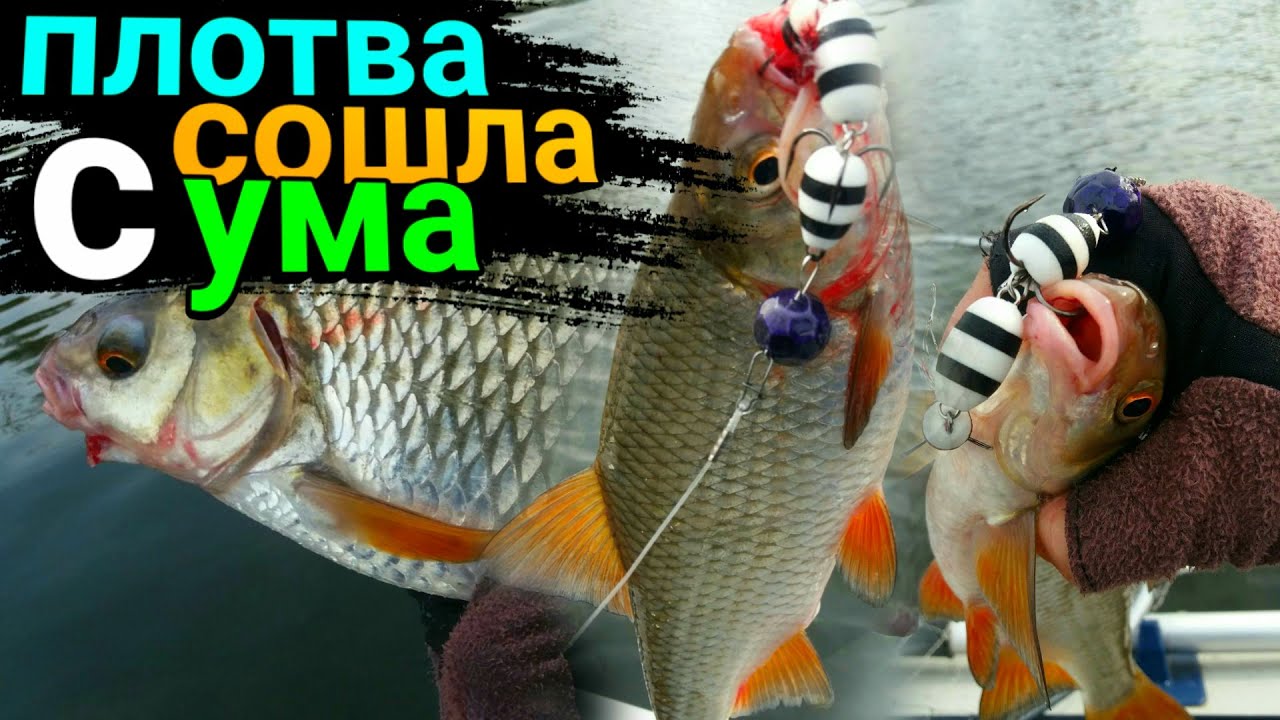 ЭТО НУЖНО УВИДЕТЬ / Такой рыбалки я еще не видел / Рыбалка 2020
