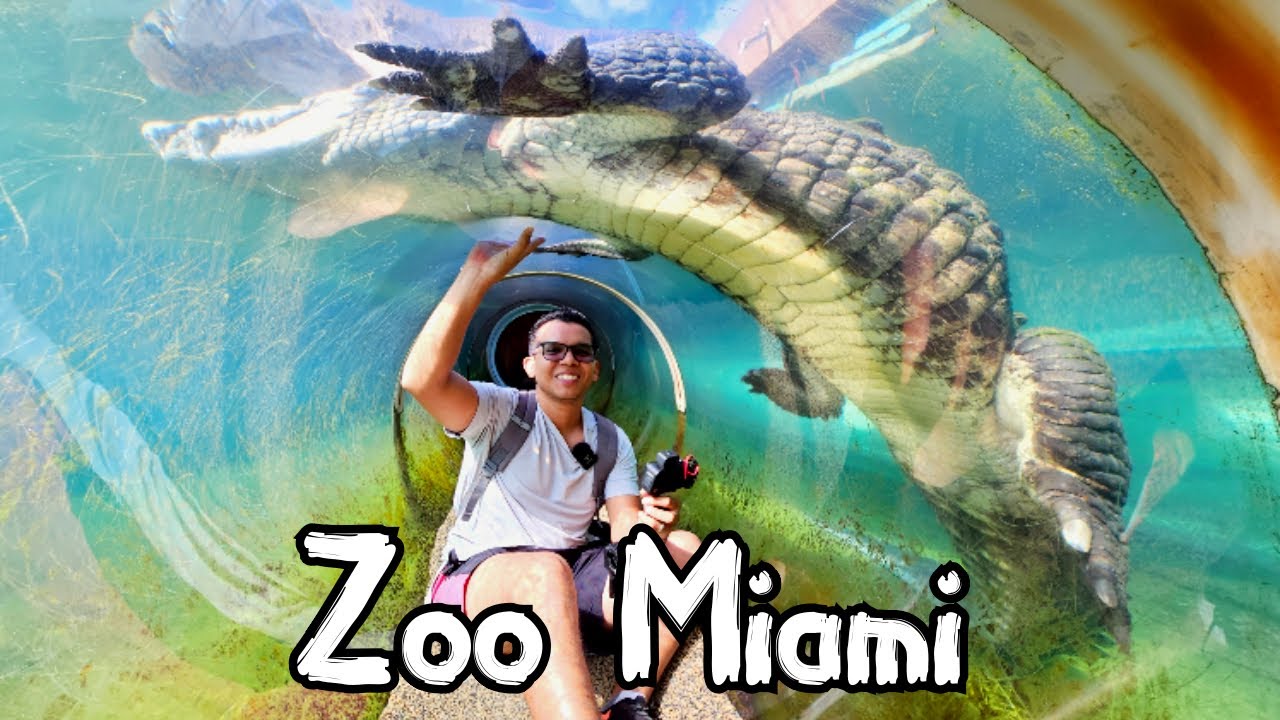 El grandioso Zoologico de Miami