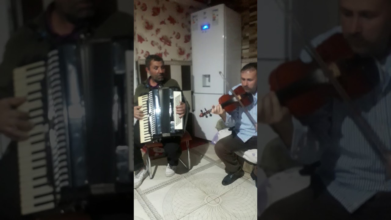 Bela si parda didica dela salsig
