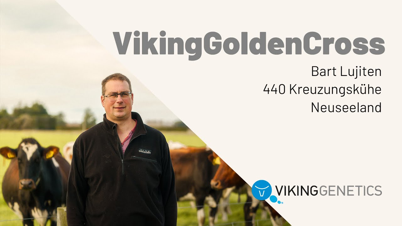 Bart Luijten - VikingGoldenCross, Neuseeland