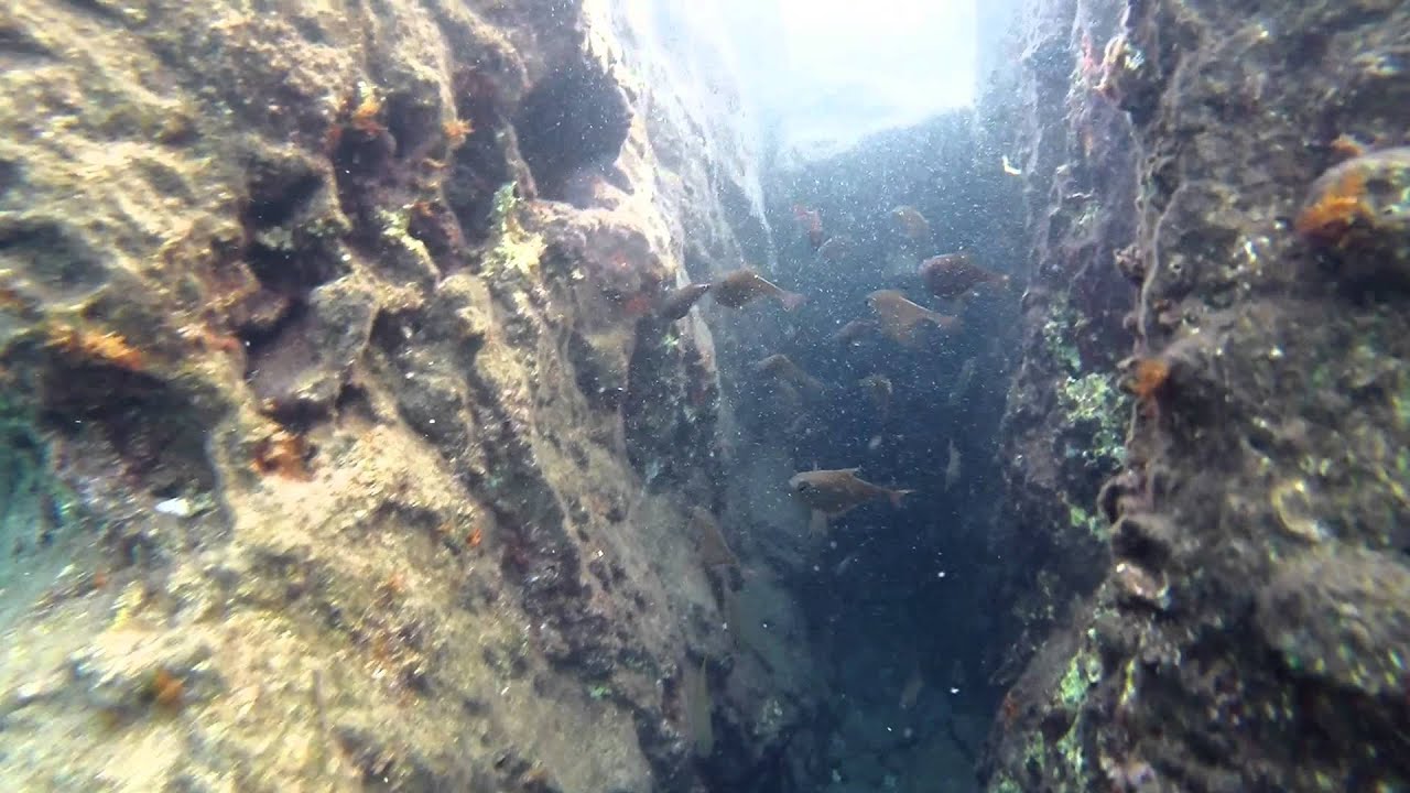 Yeşilovacık/Mersin Denizaltı görüntüleri