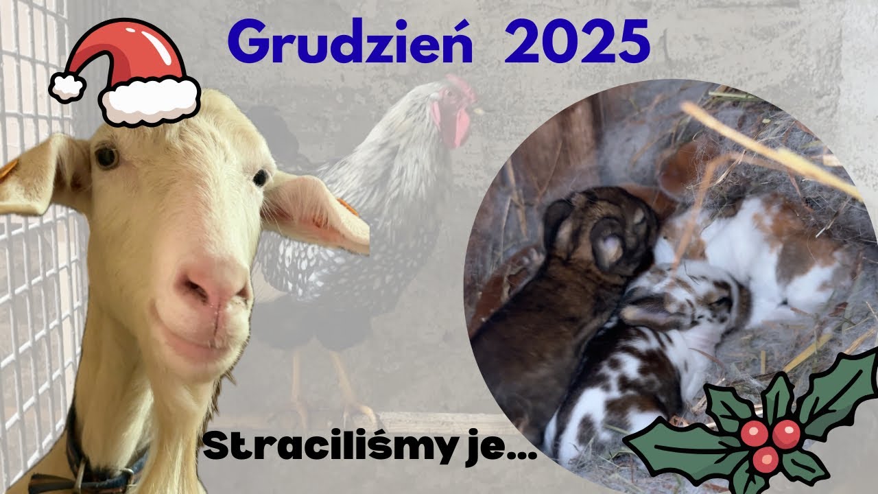 Niestety nie udało się..😞 