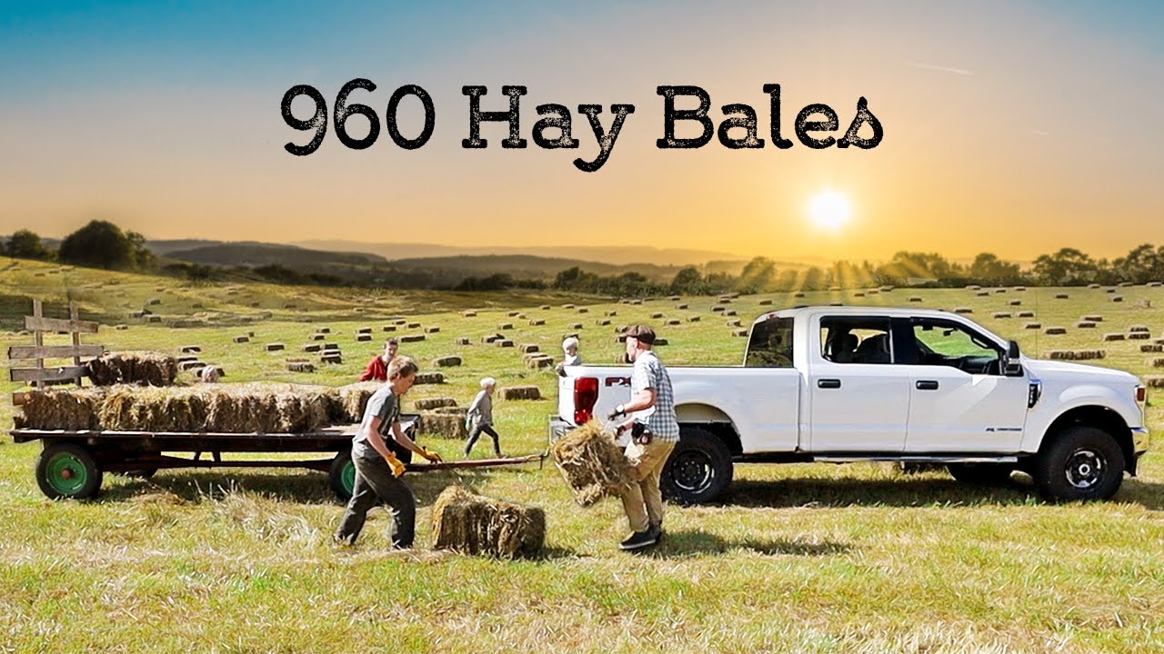 Putting up 960 HAY BALES (Just in Time)