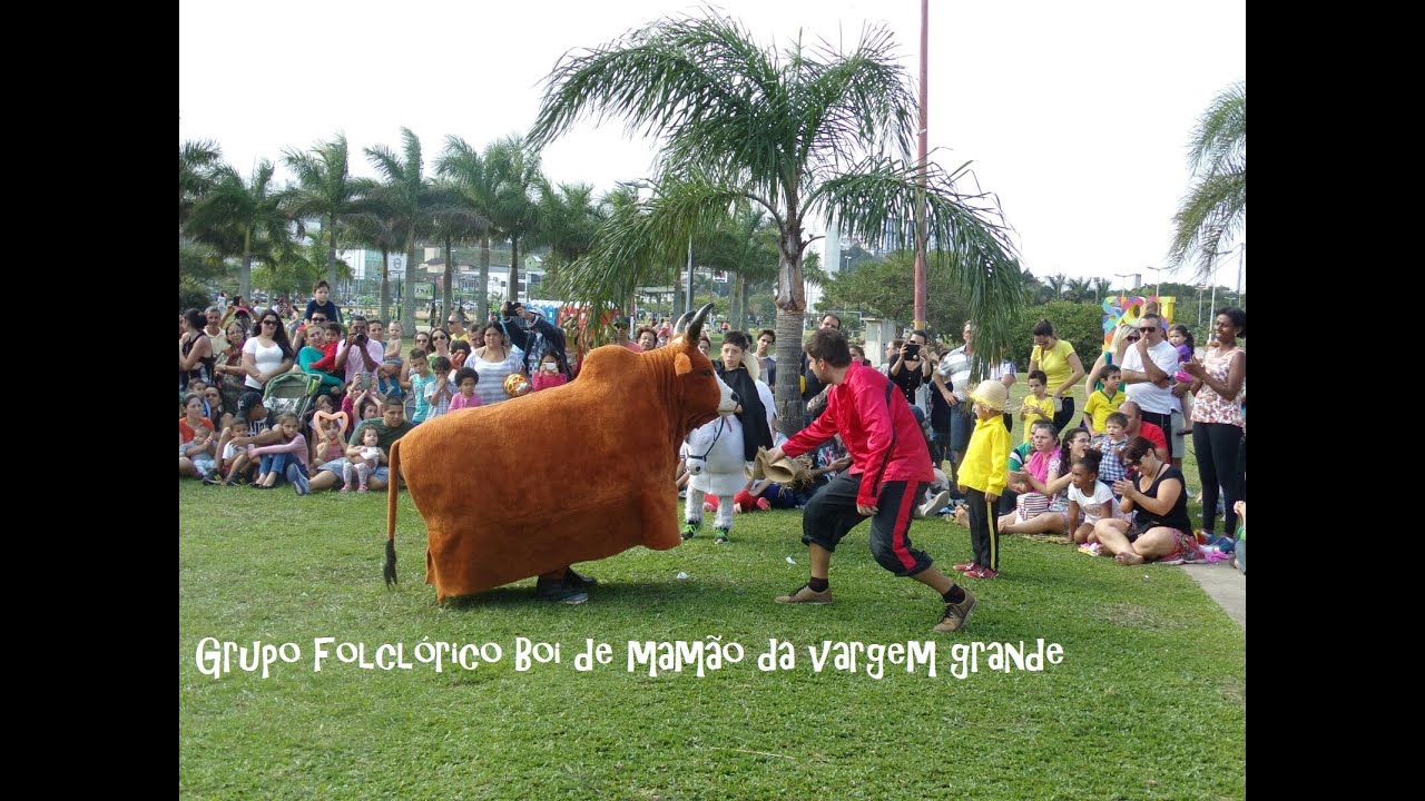 Boi de mamão da vargem grande - apresentação completa