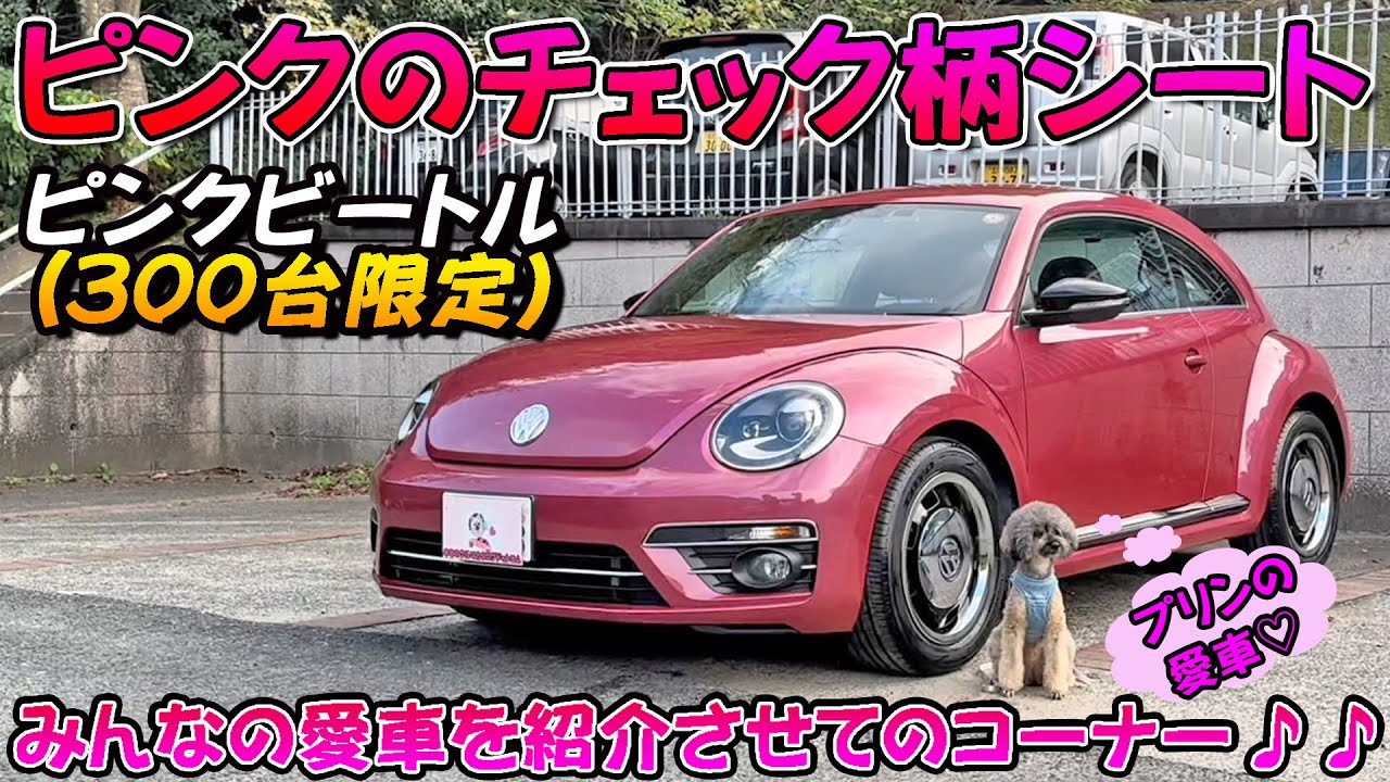 【限定車】ピンクビートル ザ・ビートル売却後にVW Tクロス数年乗りまたザ・ビートルに舞い戻り！？ビートルの魅力が忘れられず購入！！