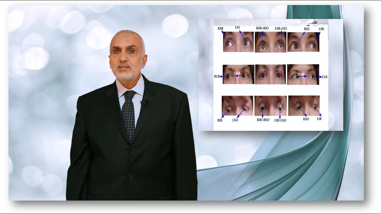 Elbromboly Basic ophthalmology IC Ocular motility Types of eye movement