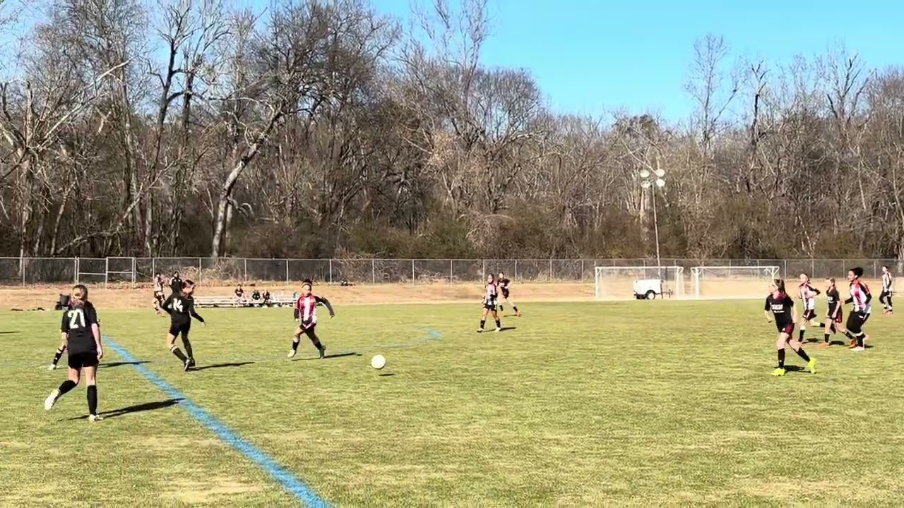 Leah vs CESA