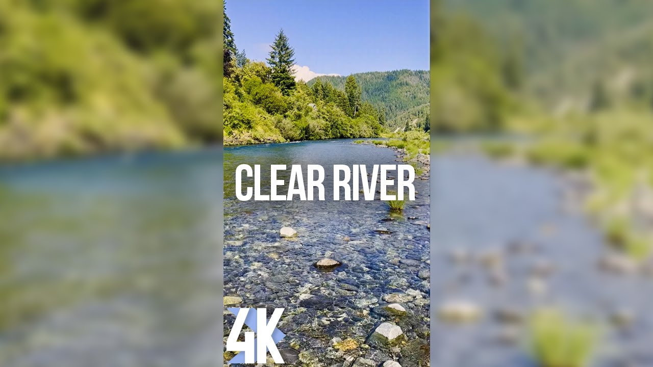 Soothing Sounds of a Clear River for Relaxation - 4K Vertical Screensaver - Jedediah Smith Park