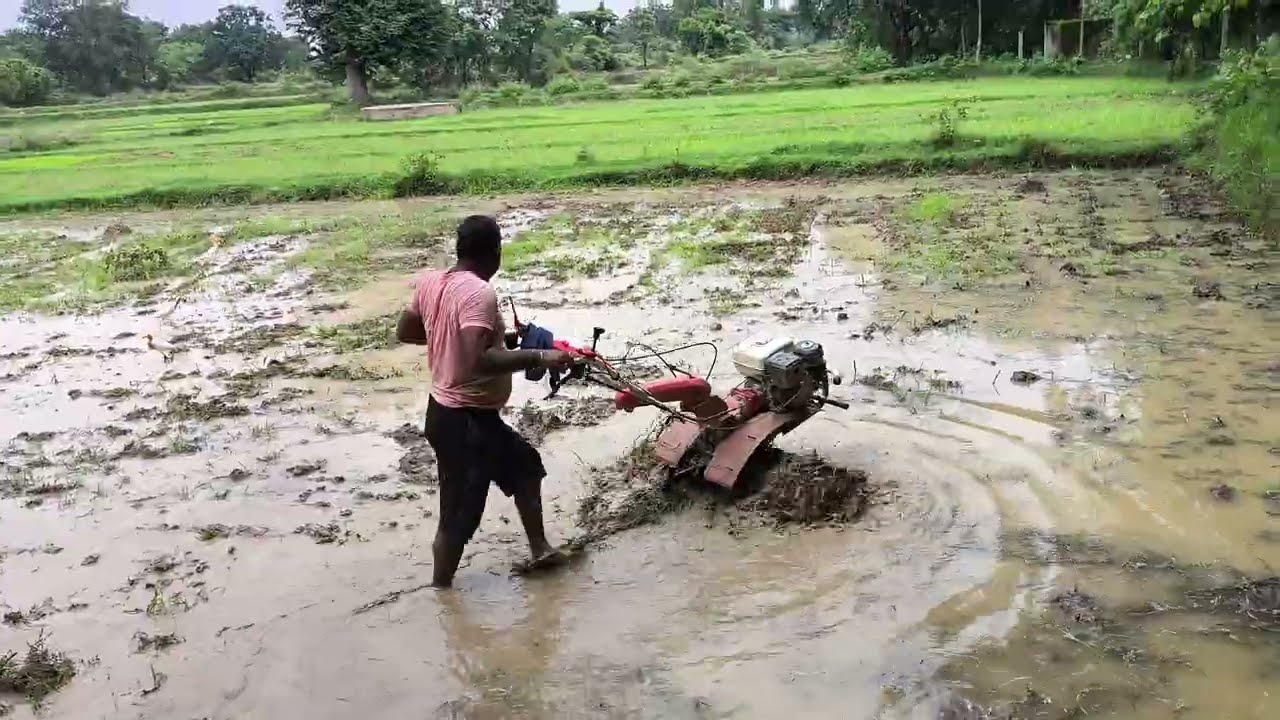 धान में चलने वाला सबसे अच्छा पावर वीडर होंडा कंपनी 9 HP || कीचड़ करते हुए heavy duty machine Honda