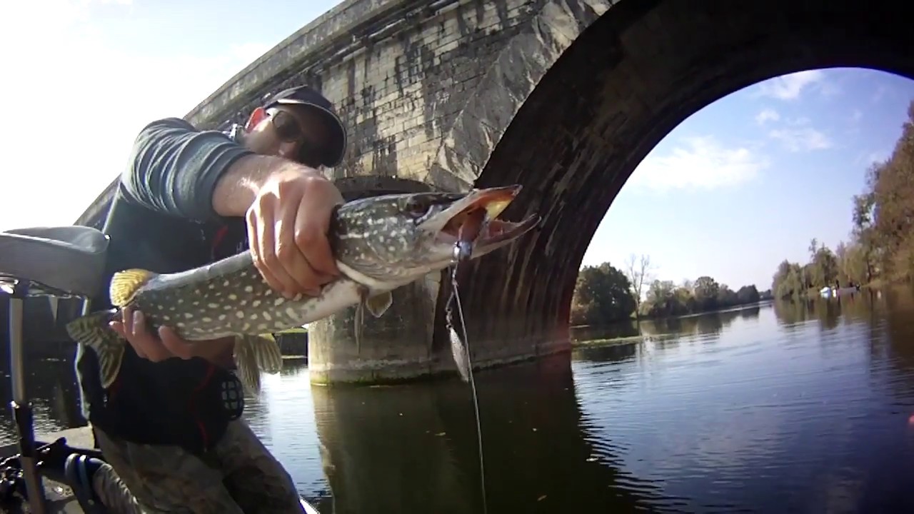 Pêche au brochet sur l'isle: Sandra 2018