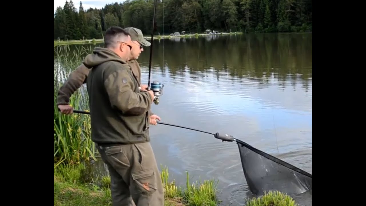 Carpteambro - Heili&acute;s Welsdrill Wundschuh 2k16