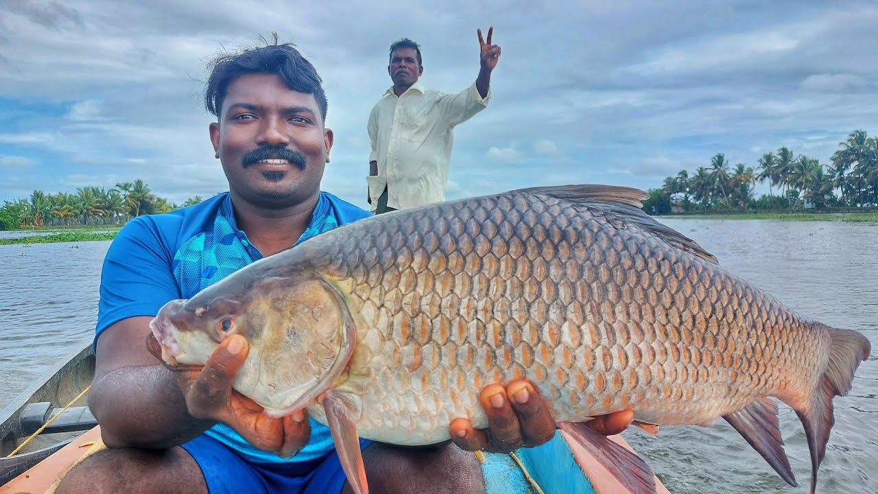 സ്പൈഡര്‍ HOOK കുപ്പിയില്‍ കെട്ടി പിടിച്ച അടാര്‍ ഐറ്റം|Earth Lovers Media |Real life vlog