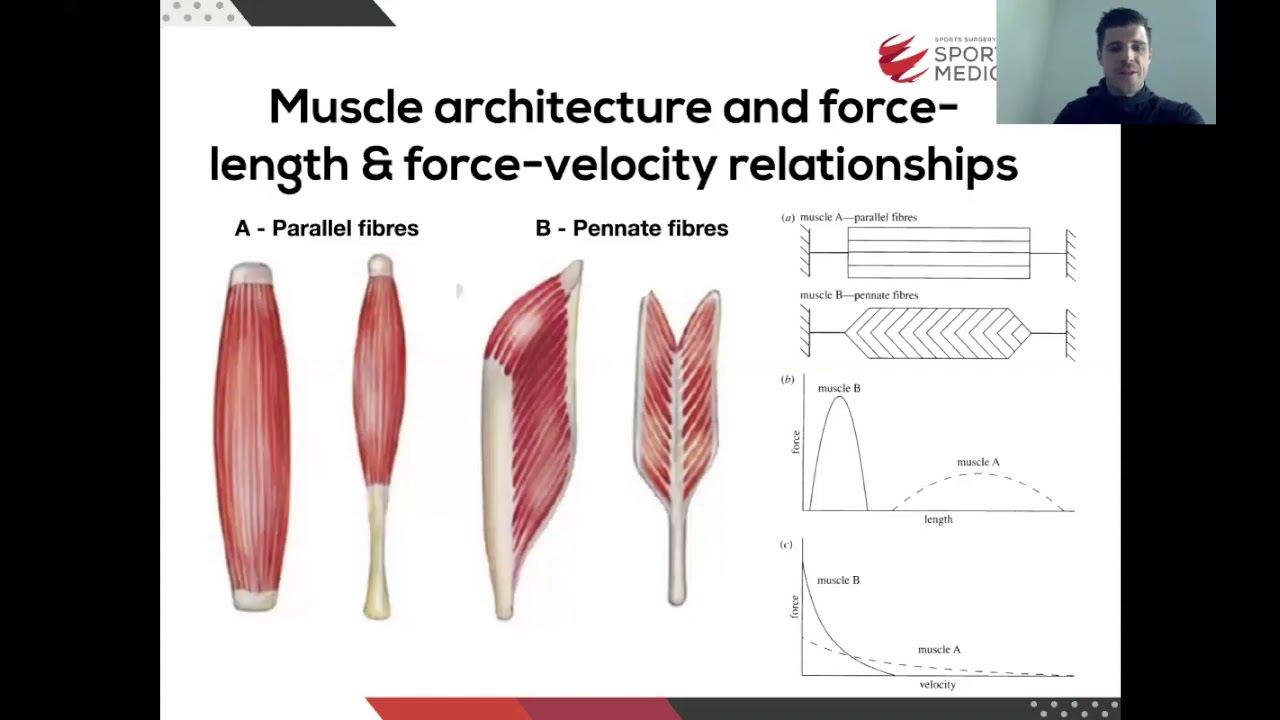 The Calf Complex Rehabilitation & Return to Performance with Colin Griffin