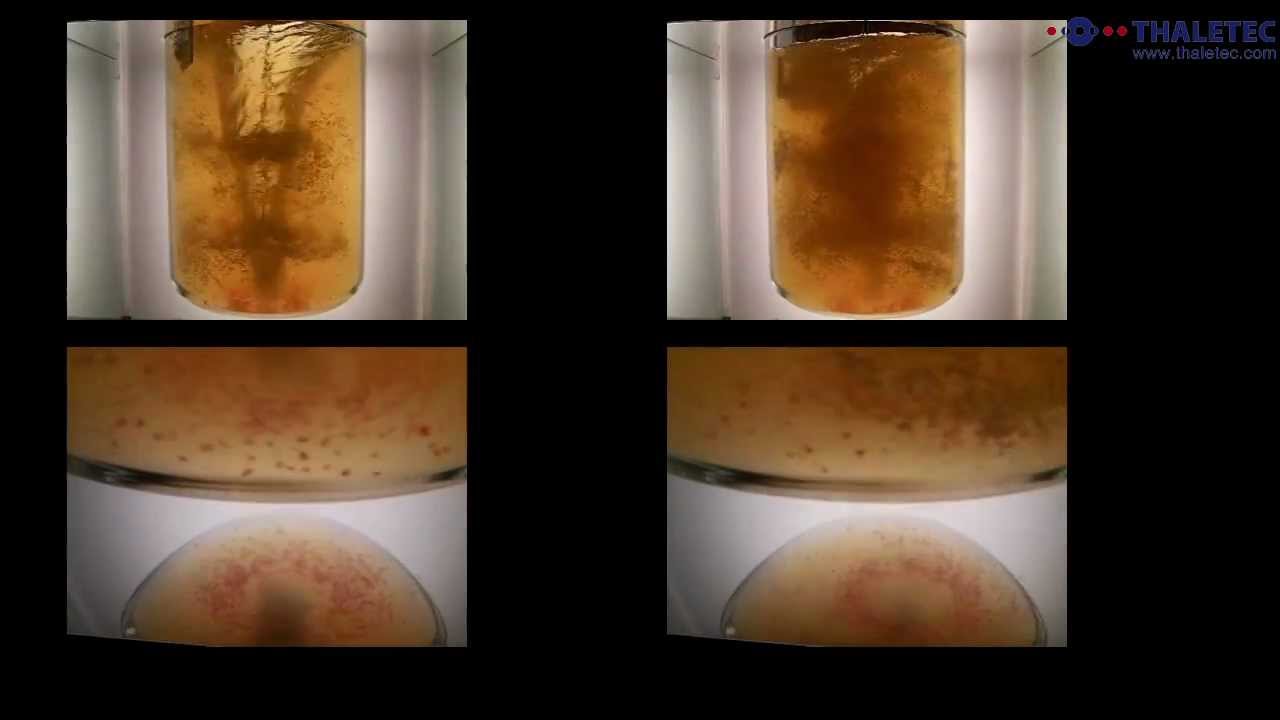 Comparison of vortex gassing with THALETEC's SEGTEC gassing technology