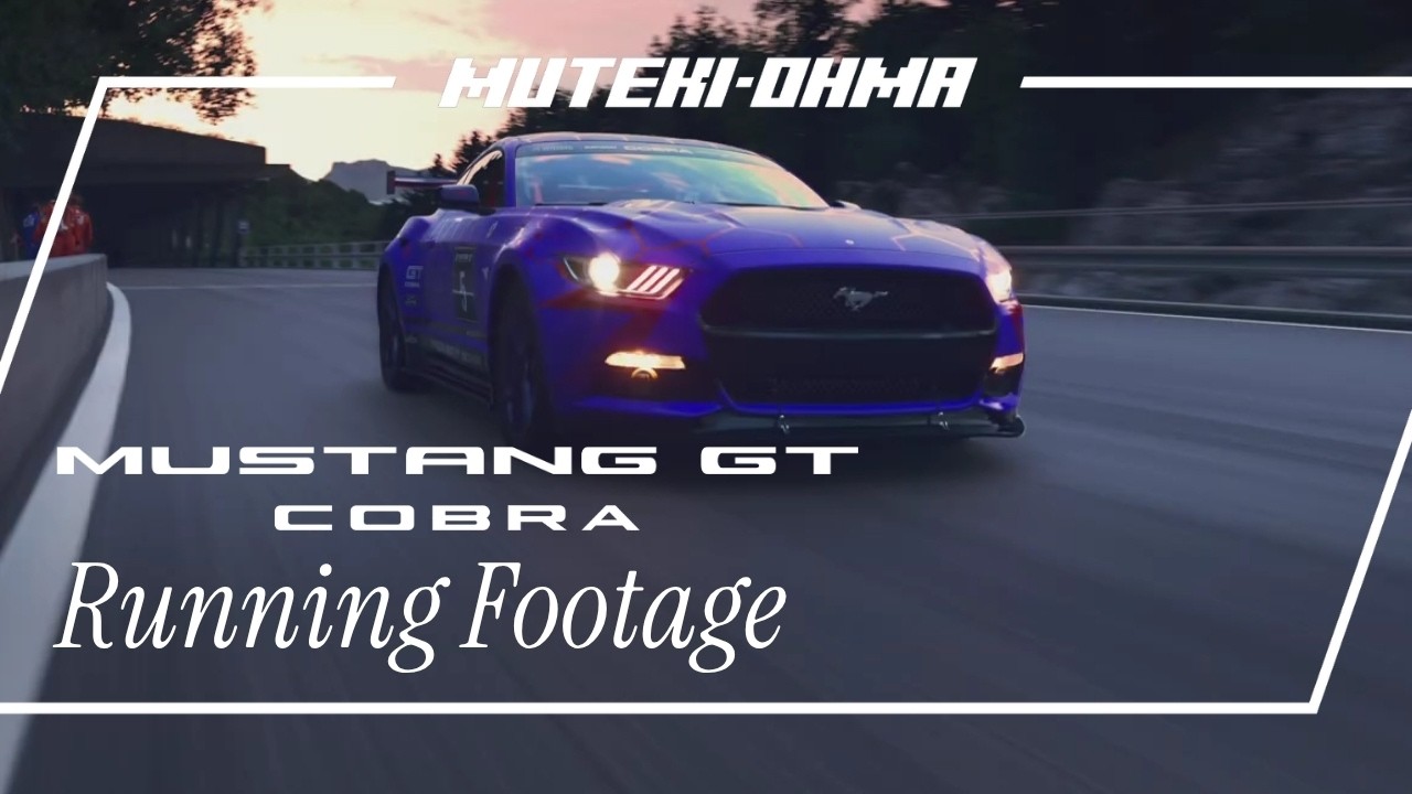 Ford Mustang GT Cobra at Deep Forest Raceway