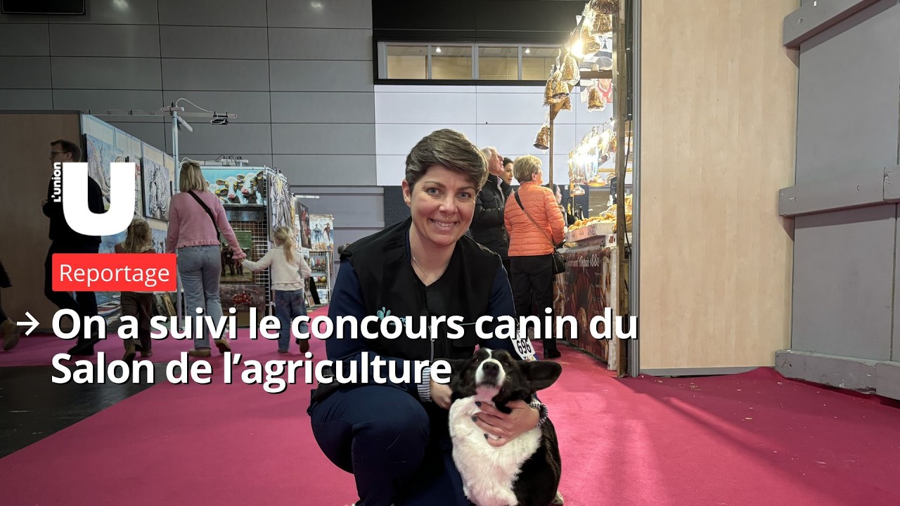 On a suivi le concours le concours canin du Salon de l’agriculture