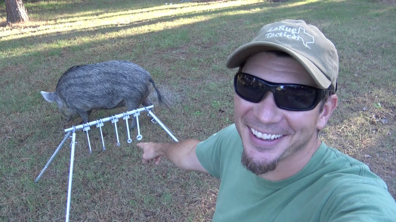 My New Favorite Rimfire Target!  