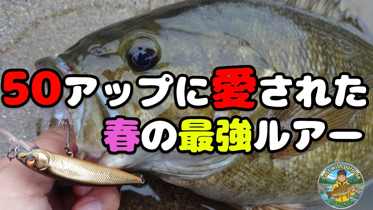 【春の最強ミノー】IKスピンジャークでまた50アップ炸裂！【川スモール】【Black bass】【冬】【2月】