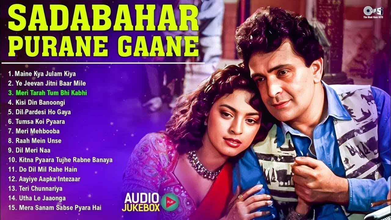सदाबहार पुराने गाने | 90's Old Songs | 90's Evergreen Songs | Purane Gaane | Hindi Gana | 90's Hits