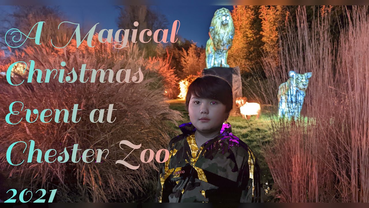 Christmas Lantern 2021 at Chester Zoo