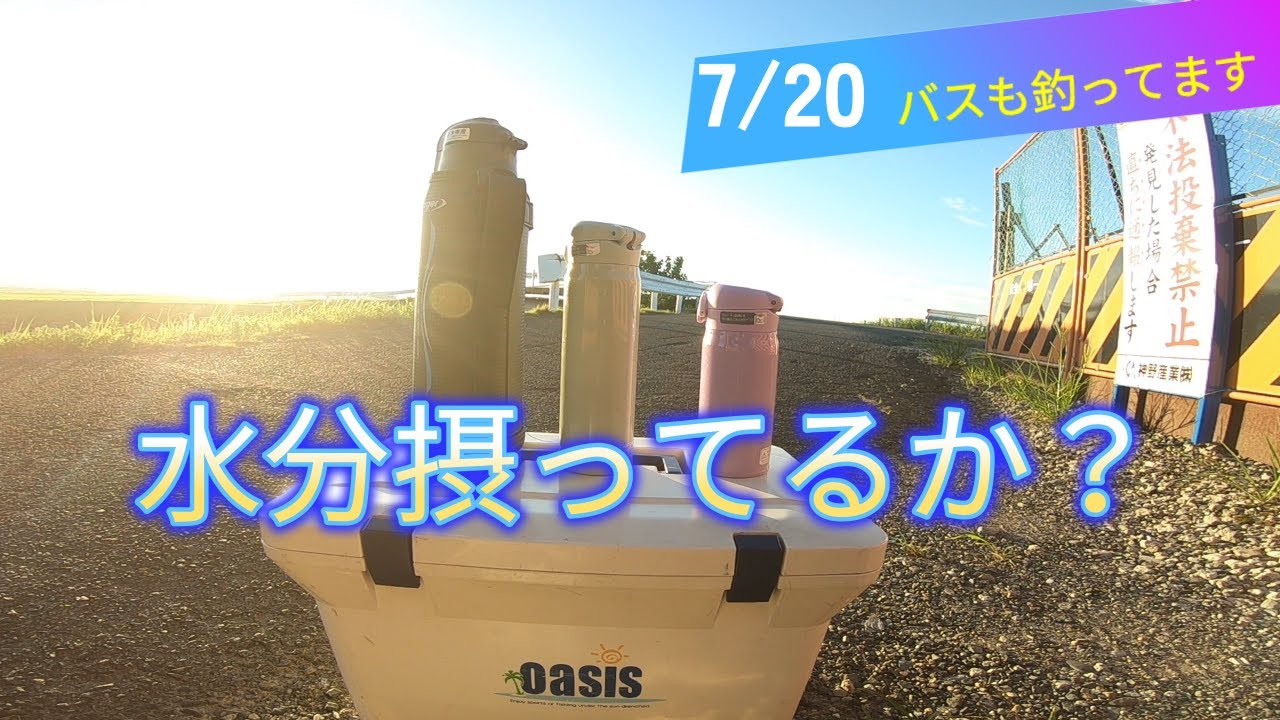 暑い時に釣りする時は、水分摂取を忘れるな！【大江川】