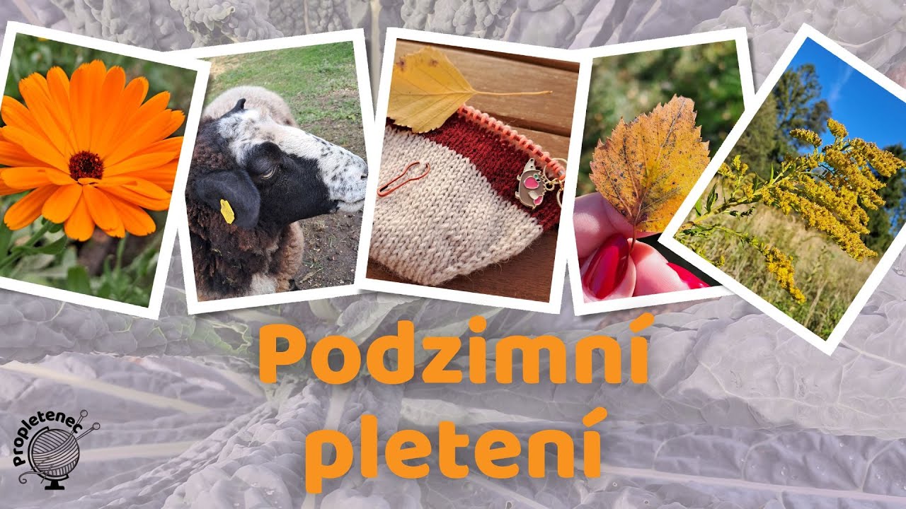 🧶 Podzimní pletení – co právě pletu a co jsem nakoupila