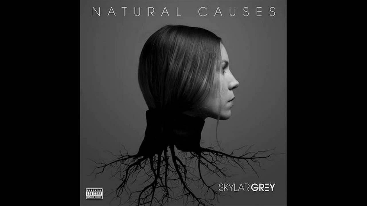 Skylar Grey -  Straight Shooter (Lyrics)