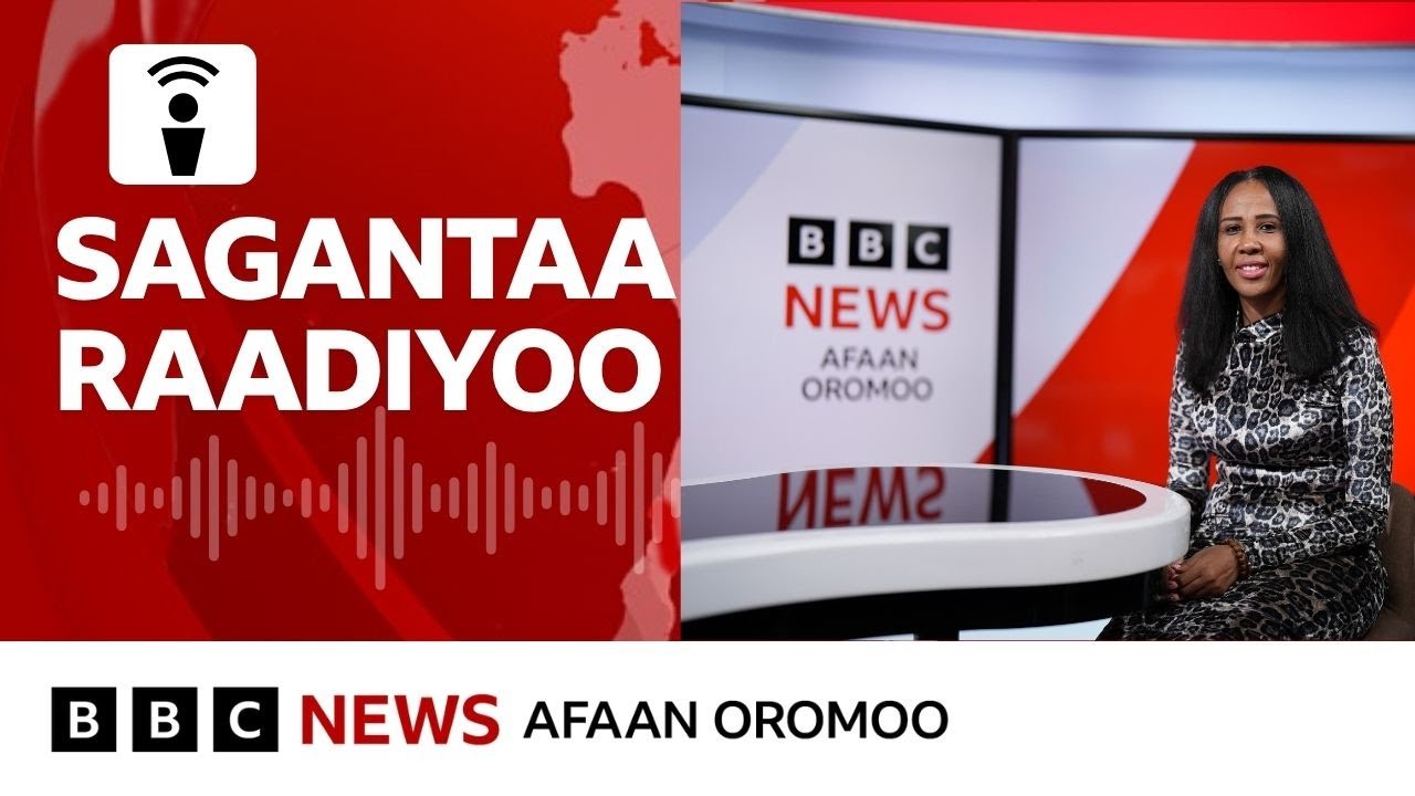 'Rakkoon siyaasaa Oromoo keessa jiru Itoophiyaaf balaadha' - Seenaa Jimjimoo