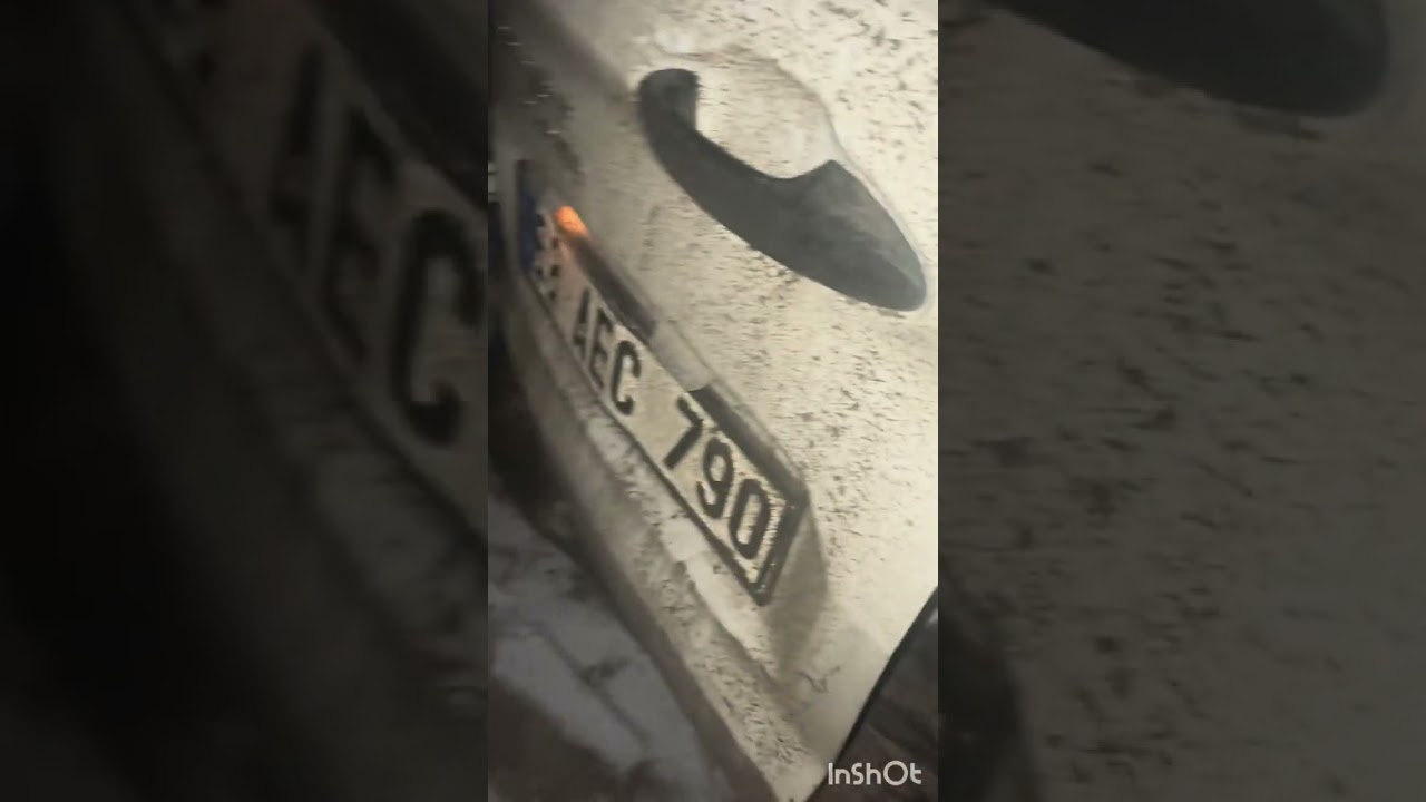 Gündüz Ankara’ya yavru götürmüştüm gece çıktım mama dağıtmaya 