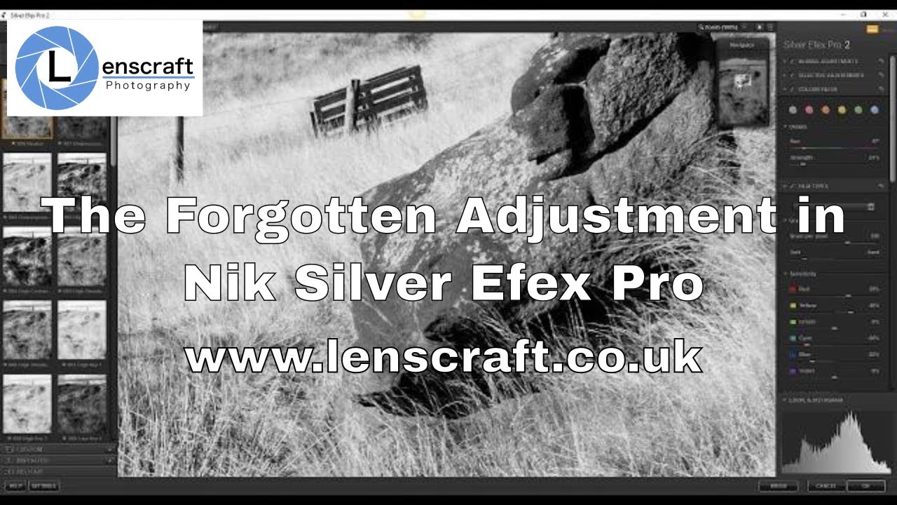 Забытая регулировка Nik Silver Efex Pro