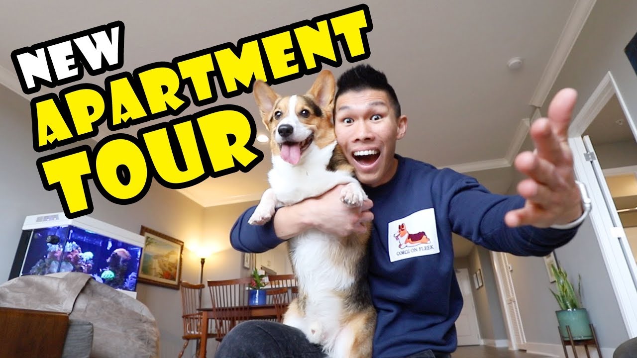 New SF Apartment Tour—8 Years After College w/Corgi || Extra After College