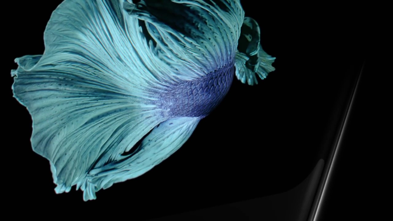 iPhone 6s introduction