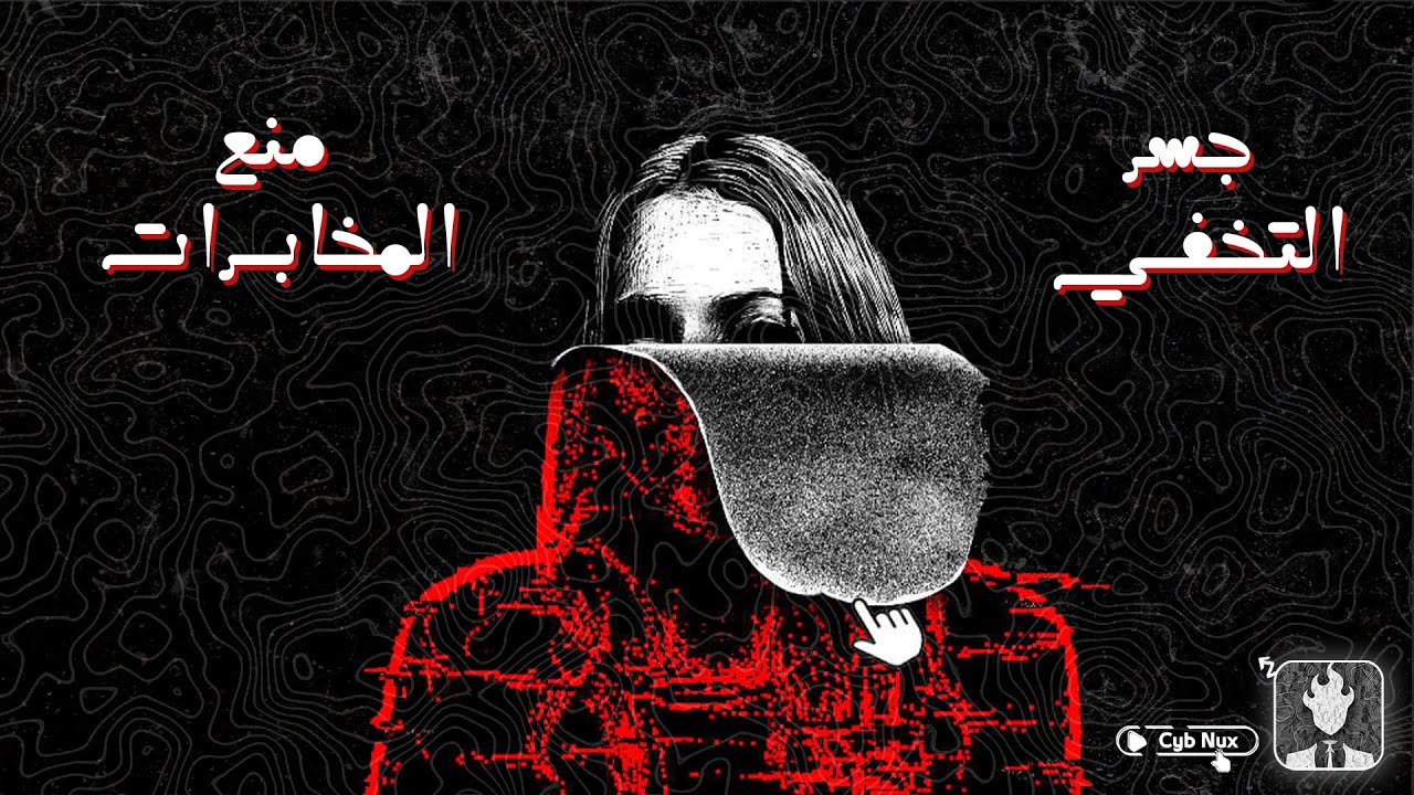تفعيل bridges ومنع المخابرات من شبكتك في الـ Dark Web