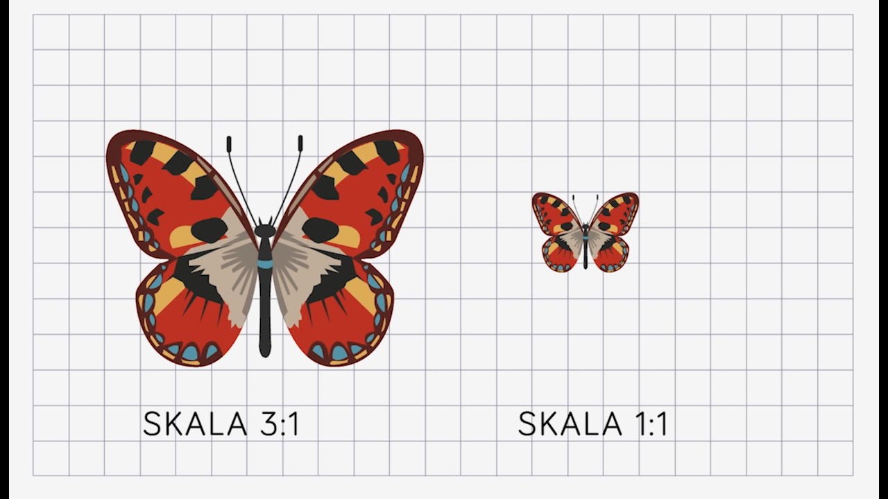 Skala - Förstorning jämfört med verkligheten - Åk 4-6