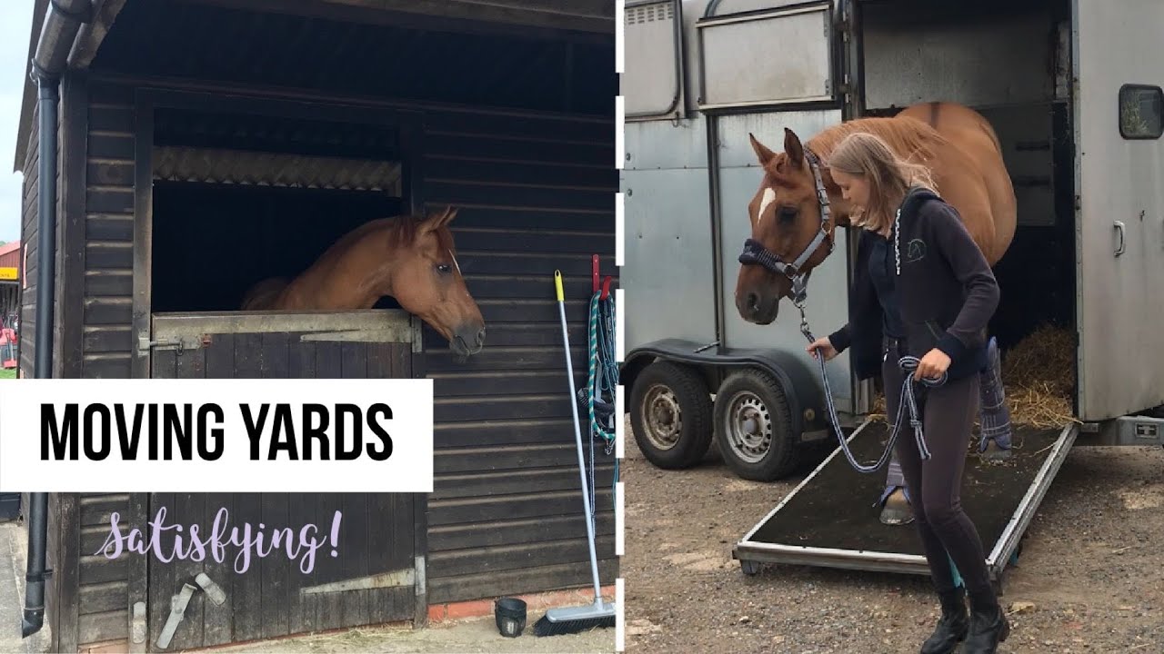 MOVING YARDS| Satisfying, getting set up + much more