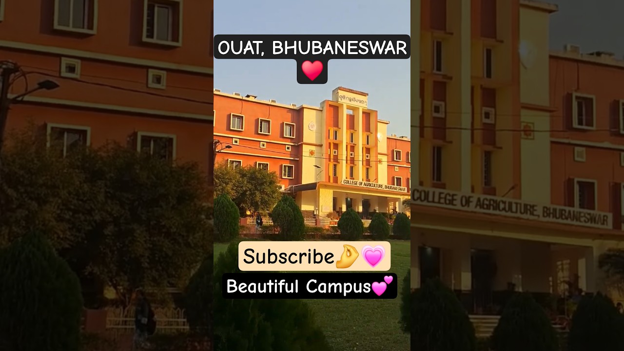 OUAT,Bhubaneswar❤️Subscribe My Channel&hearts;️ #orissa#travel#tour#agriculture#shorts#trending#ouat#campus