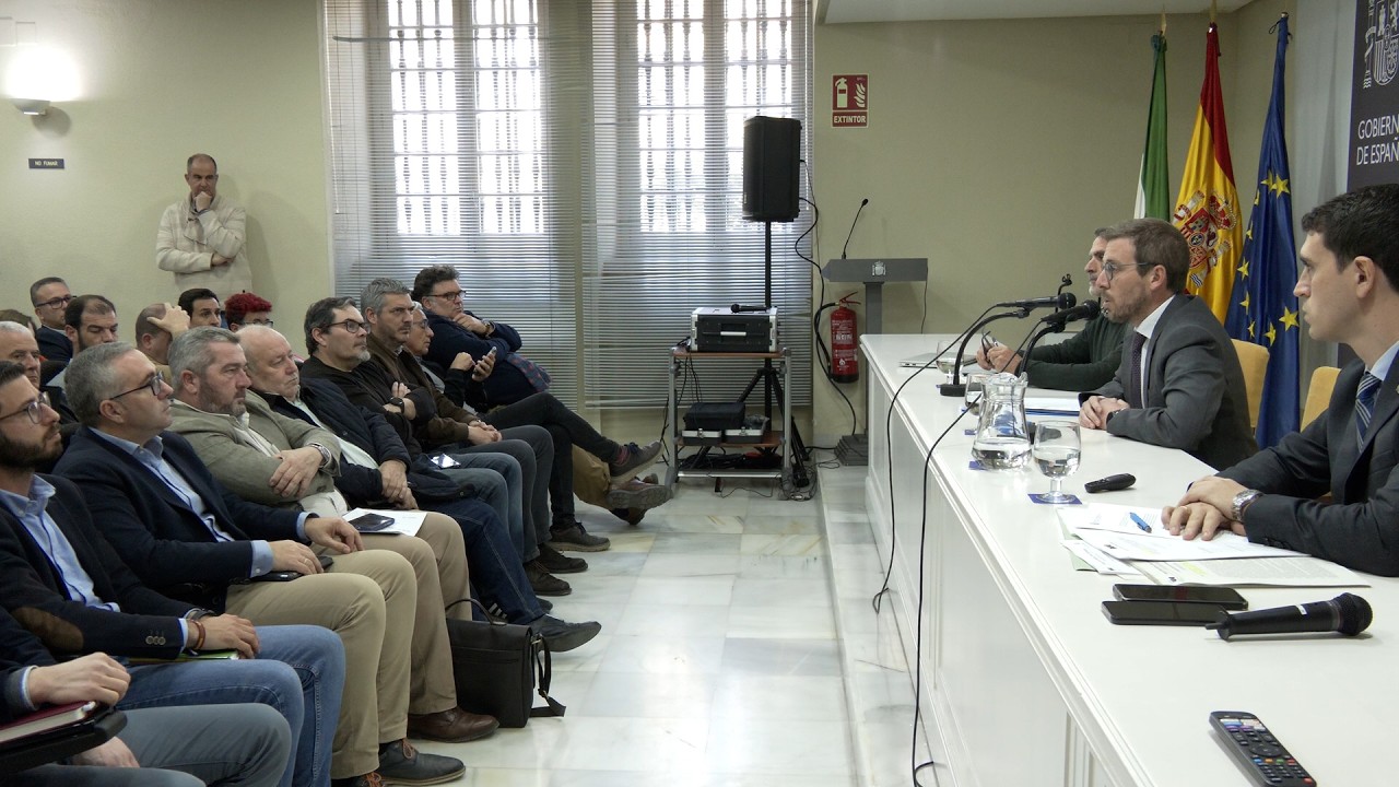 Los Palacios y Vfca podra acceder a las ayudas del Estado por situaciones de emergencia