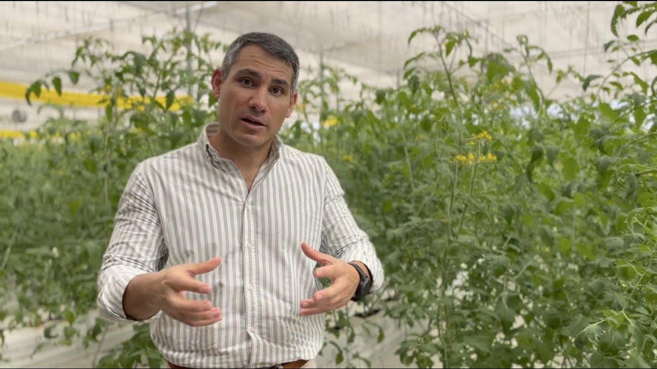 A tour of a CEA Greenhouse Farm with hydroponics and soil-based agriculture.