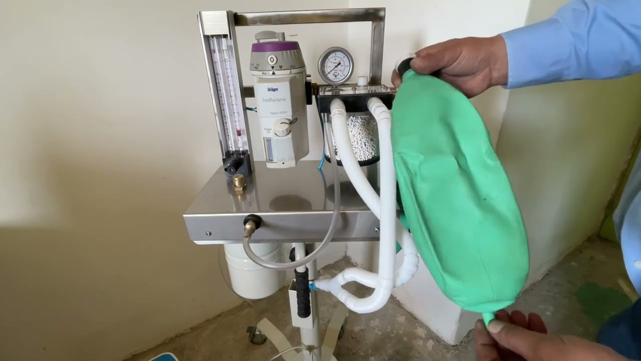 Máquina de anestesia para  Veterinaria con concentrado de oxígeno