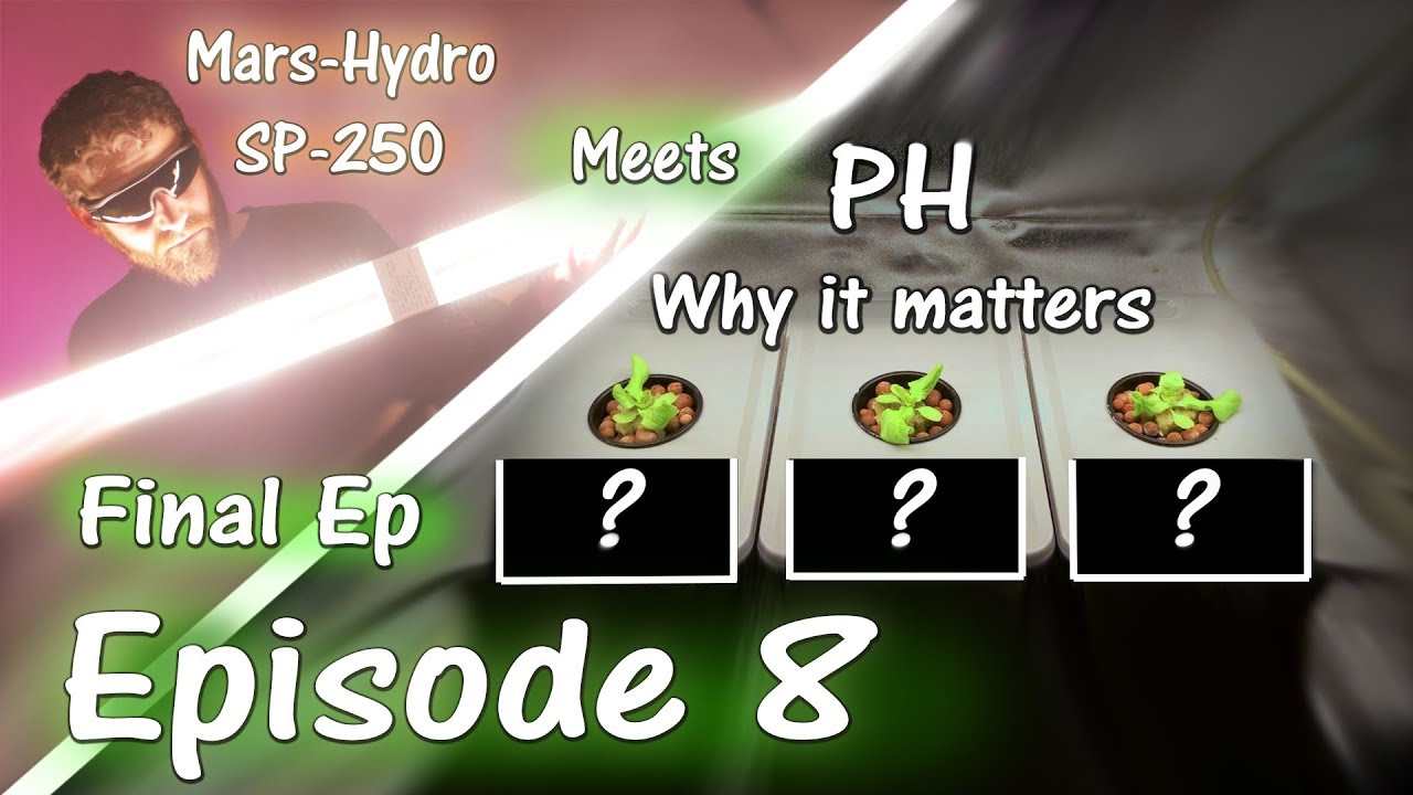 Growing Peppers at Different PH Levels | Mars Hydro SP 250 | Ep. 8 (Final Episode)