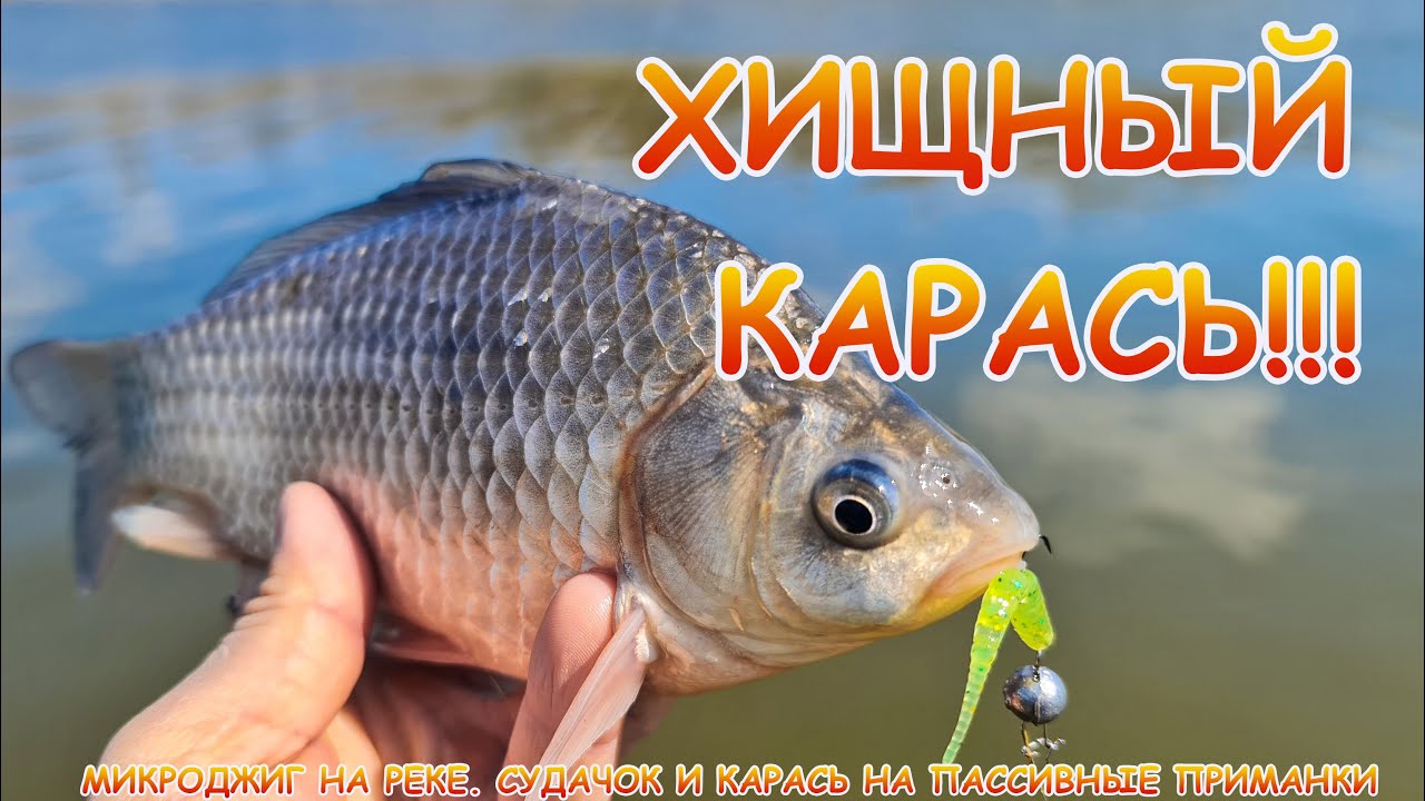 С микроджигом на реку! Карась на пассивные приманки!