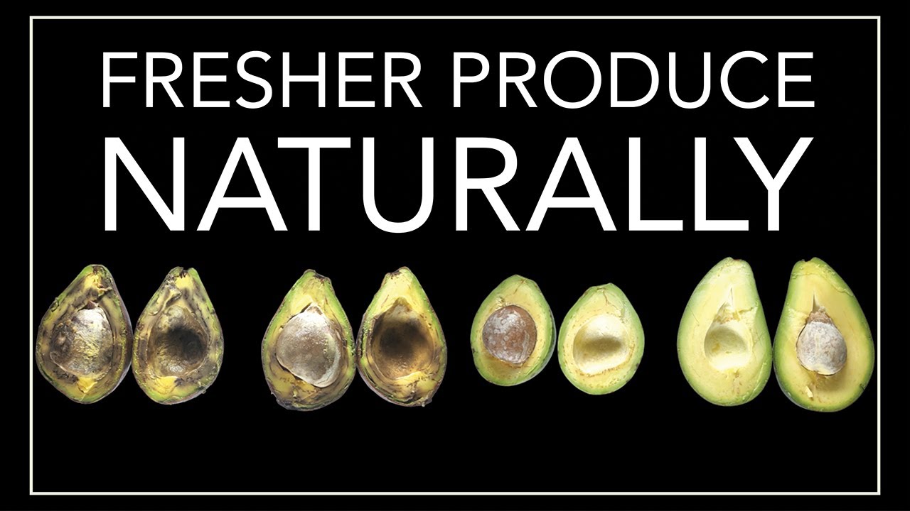 How Sustainable Packaging Can Dramatically Lower Food Waste | Biomimicry Design