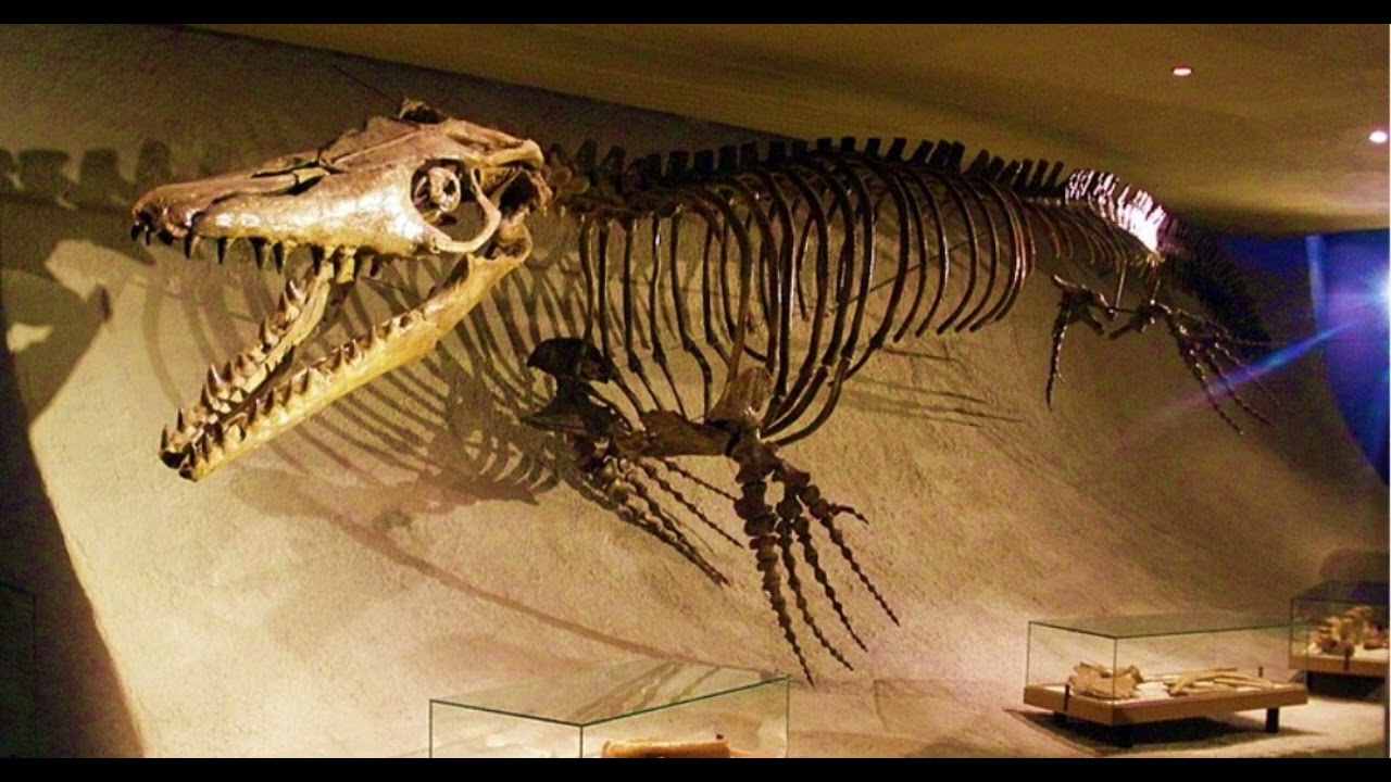 real mosasaurus sounds