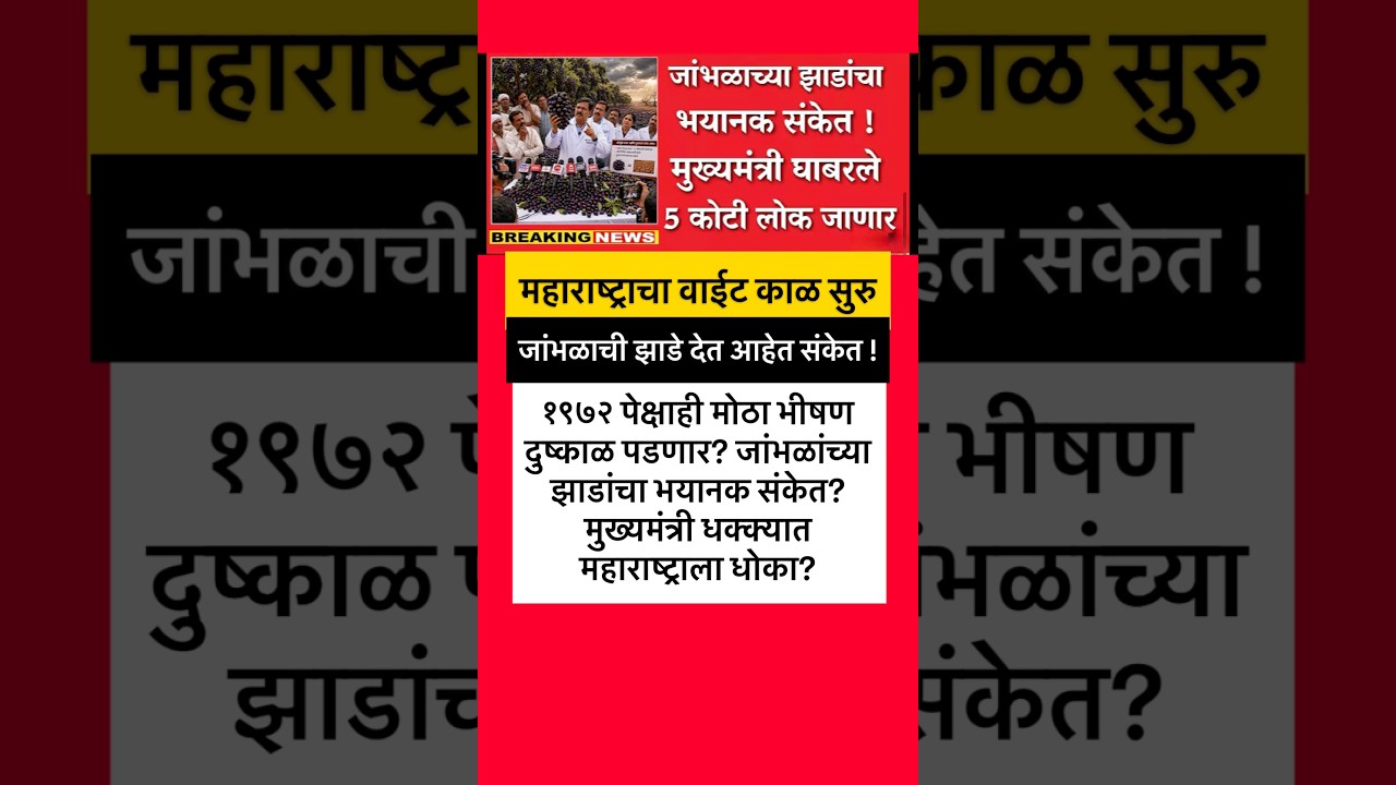 #ajitpawar #sharadpawar #rohitpawar #supriyasule #supriyasulefc #baramati #baramatikar #ncp #ncpa