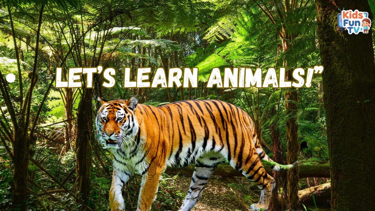 Let’s learn Animals@Kidsfun_tv-kt 
